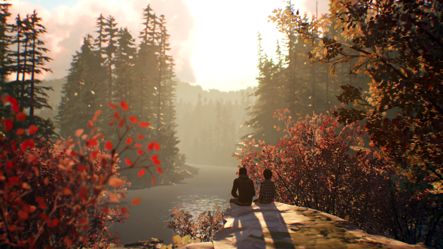 Two young boys sit on a rock facing the sunset over an Autumn forest with a river running through.